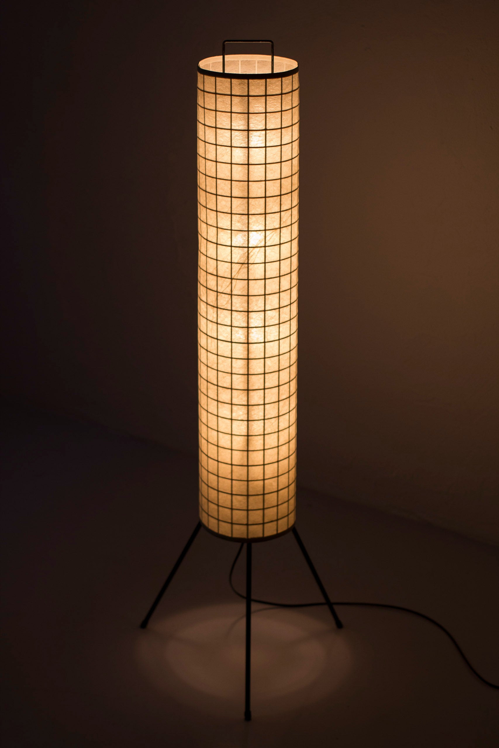 Danish 1950s floor lamp