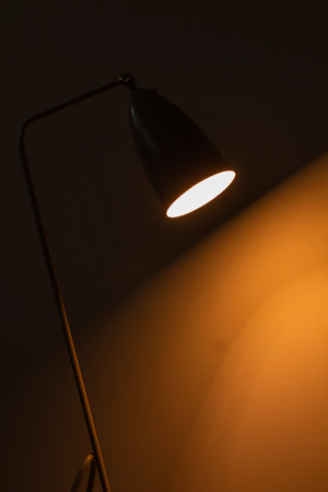 "Grasshopper" floor lamp by Greta Magnusson-Grossman