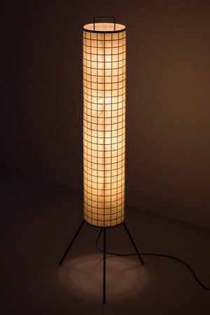 Danish 1950s floor lamp