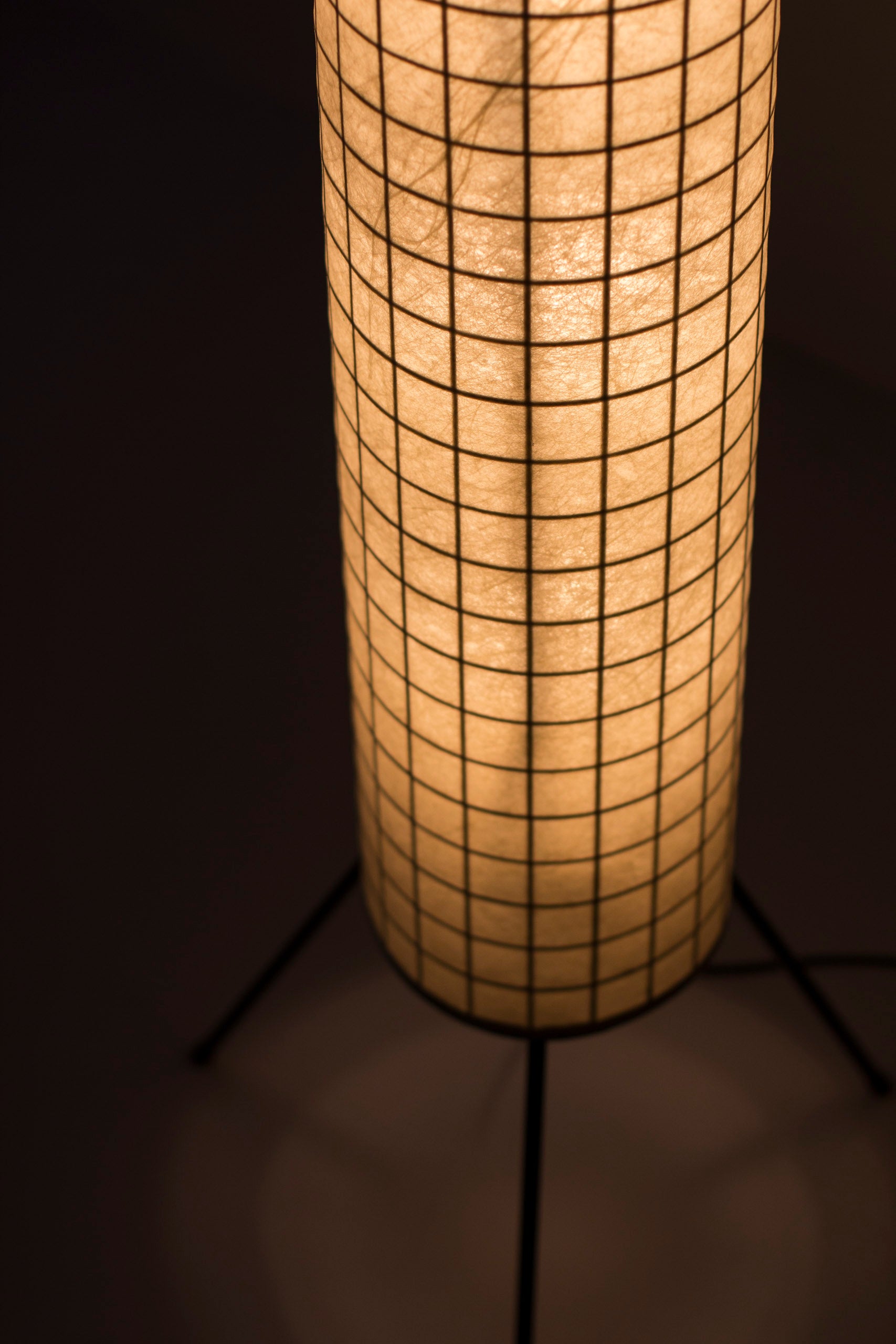 Danish 1950s floor lamp
