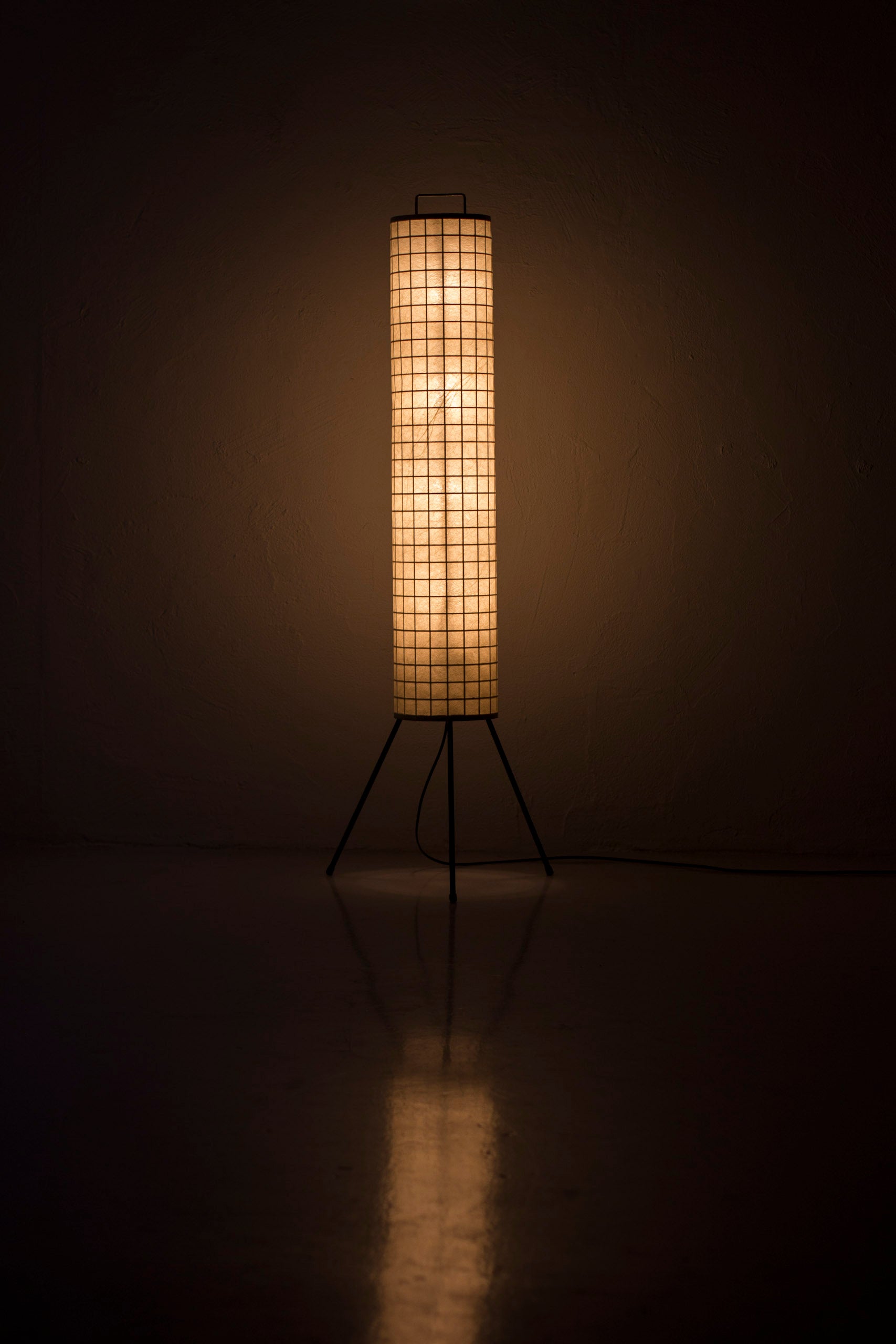 Danish 1950s floor lamp