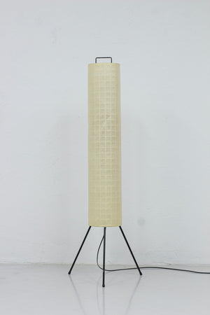 Danish 1950s floor lamp