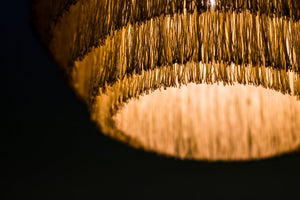 "Fringe" Ceiling Lamp by Hans Agne Jakobsson no. 5