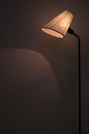 Swedish floor lamp by Luco